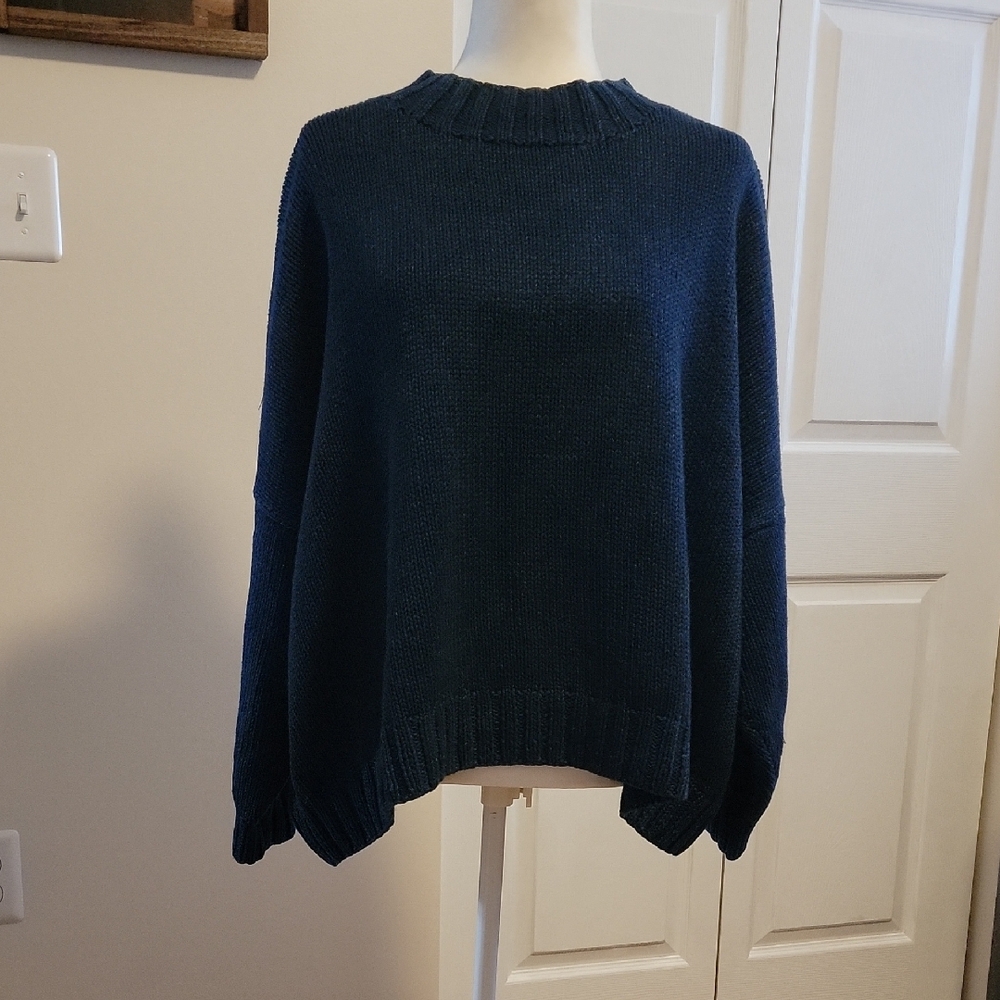 Adrienne Vittadini Blue Crew Neck Sweater with Balloon Sleeves